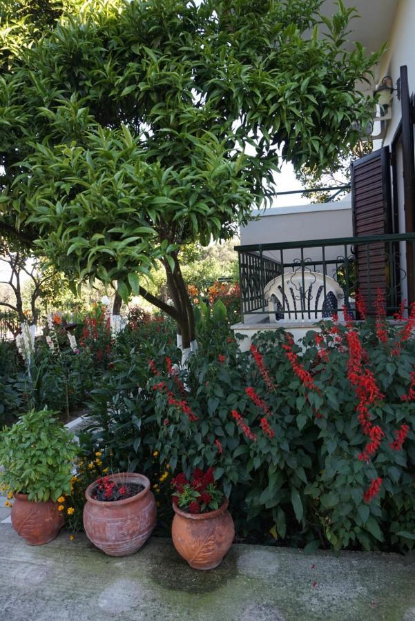 Villa Nikolaou Parga Exterior foto